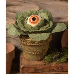 Eerie Eyeball Lettuce